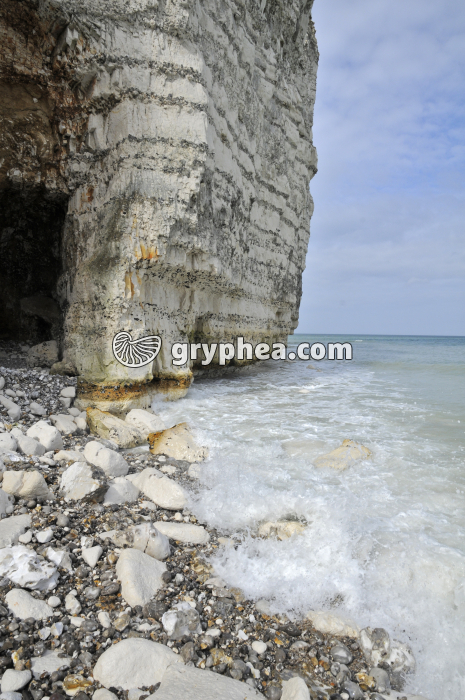 Erosion d'une falaise de craie par la mer - gryphea.com